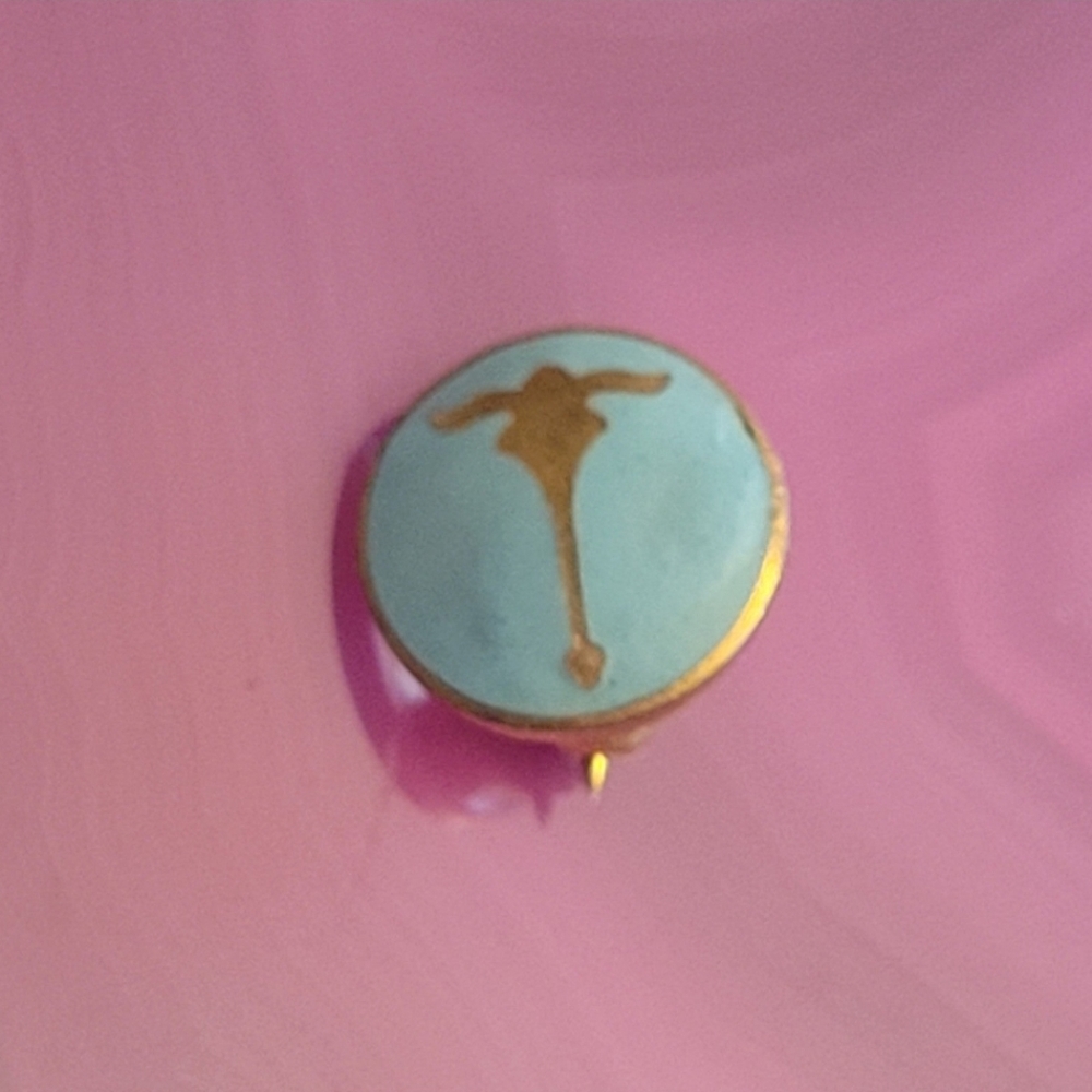 Sigma Delta Tau Sorority pledge pin